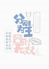 分则为王,合则无双 分则为王,合则无双