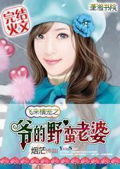 飞来横宠:爷的警花老婆