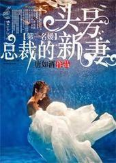 第一名媛,总裁的头号新妻 第一名媛,总裁的头号新妻