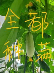 把修真界种满后 把修真界种满后