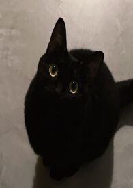 一千零一个黏腻的梦 一千零一个黏腻的梦