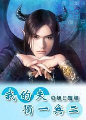 我的夫独一无二+番外 我的夫独一无二+番外