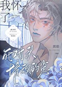 我怀了死对头情敌的崽 我怀了死对头情敌的崽