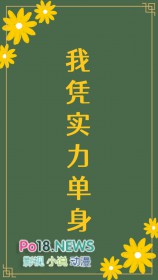 我凭实力单身 我凭实力单身