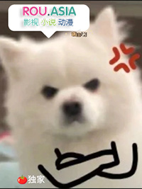 我Alpha才不做死对头的舔狗 我Alpha才不做死对头的舔狗