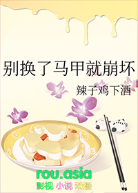 别换了马甲就崩坏 别换了马甲就崩坏