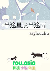 半途星辰半途雨 半途星辰半途雨