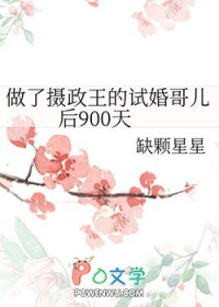 做了摄政王的试婚哥儿后900天 做了摄政王的试婚哥儿后900天
