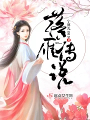 落雁传说 落雁传说