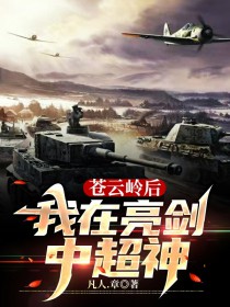 苍云岭后我在亮剑中超神 苍云岭后我在亮剑中超神