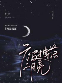 被拽落的月亮 被拽落的月亮