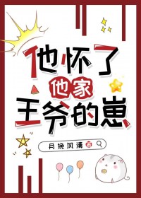 他怀了他家王爷的崽 他怀了他家王爷的崽